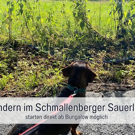 بيت للعطل Dackelglueck سشمالنبرغ