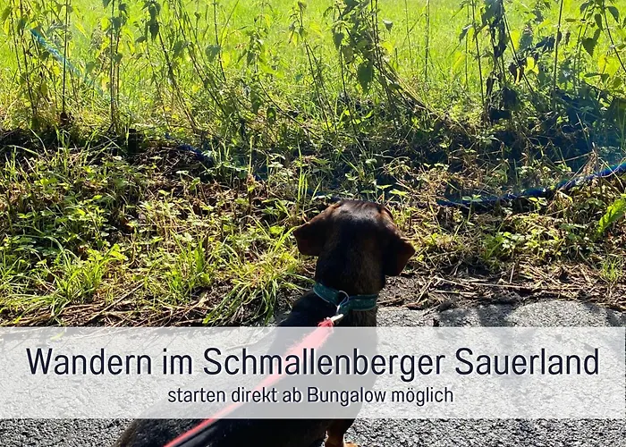 펜션 Dackelglueck 슈말렌부르크