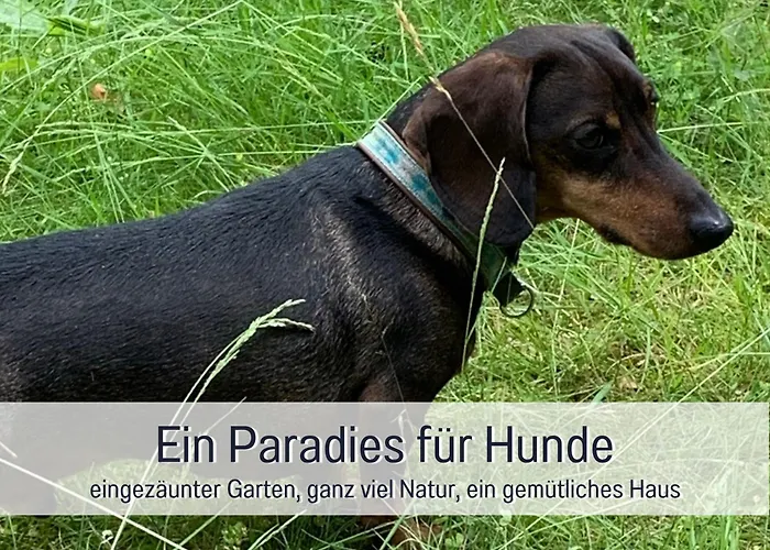 Dackelglueck 펜션 슈말렌부르크